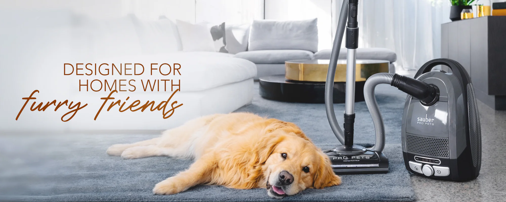 Master Your Home's Cleanliness
